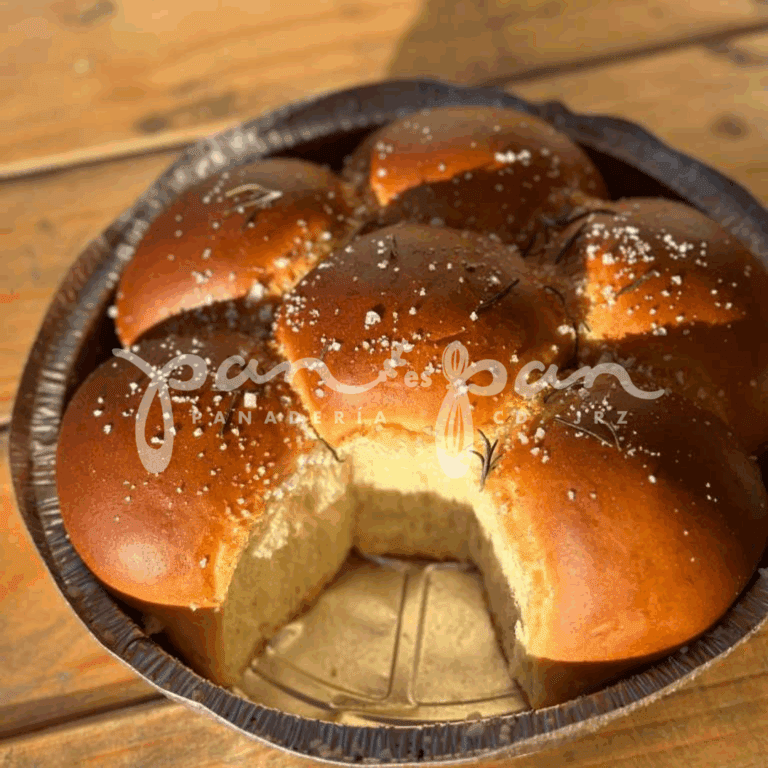 fotos para pagina web (61)